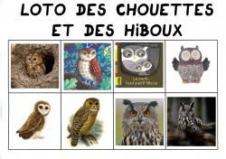 Loto des chouettes et des hiboux