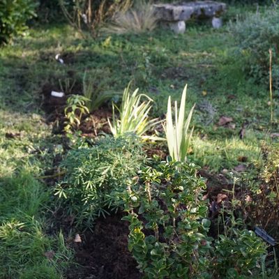ils sont tous plantés