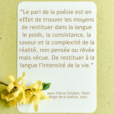 Citation sur la poésie, Jean-Paul Siméon