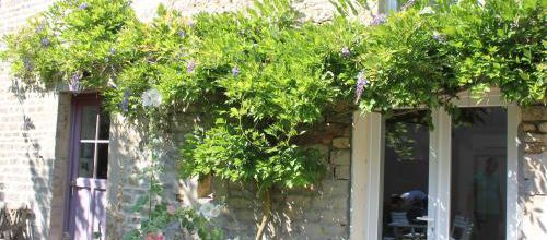 Glycine