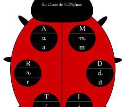 La coccinelle des lettres