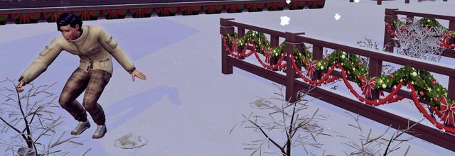 [CALF] Hiver 2 - Semaine 11 - Jours 75 à 78