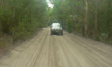 Sur les pistes, dans la foret tropicale