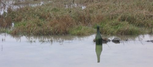 bouteille à la mer!