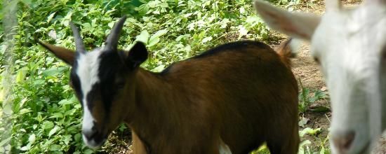 Visite en Haute Marne