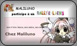 Noël 2014: centre de table, calendrier de l'avent et dessous de verres