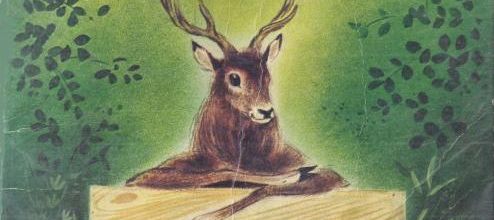 Le grand cerf et le lapin des champs (1972)