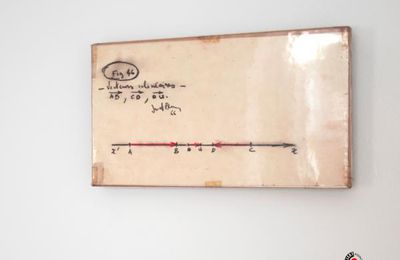 À PROPOS DE NICE À NIMES : VENET BERNAR