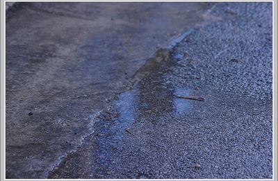 Pluie et surprises...(1)