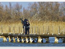 Chasseurs d'images...