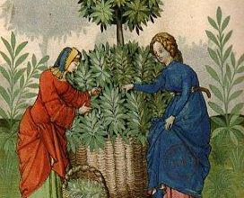 Le PARFUM au MOYEN AGE