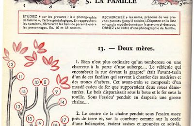 Dumas CM-CS S5 La Famille