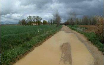 (J30) Calzadilla de los Hermanillos / San Nicolas del Real Camino 4 mai 2012 (2)