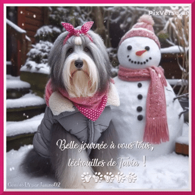 L'hiver approche, même si les températures ne sont pas de saison... Janine & Tavia 