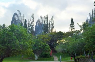 Découverte de la culture kanake 