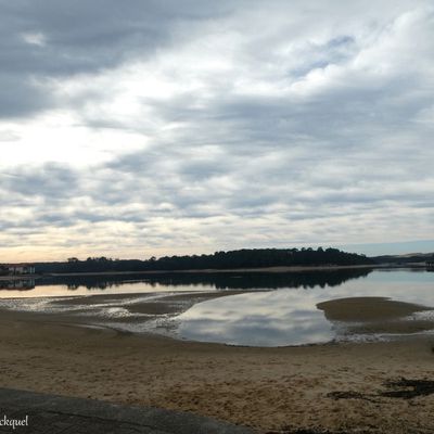 Une balade autour du Lac de VIEUX BOUCAU (40), le 18 janvier...