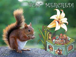 Histoire insolite