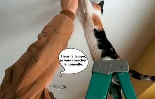 Aide efficace