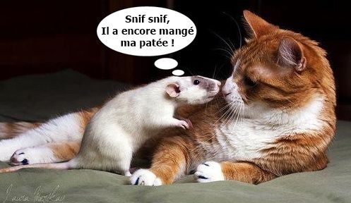 Le goinfre !
