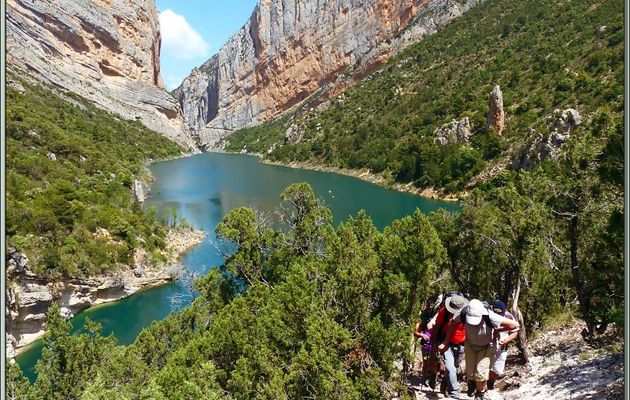 Randonnée au Congost de Mont-Rebei : très dure montée vers le haut de la falaise, au milieu de genévriers thurifères, pour atteindre les "escaleras" - Aragon/Catalogne - Espagne
