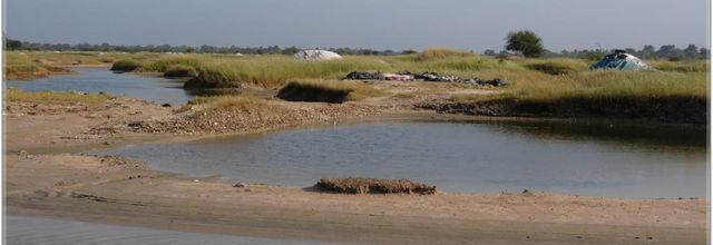 PALMARIN  ET  LES  PUITS  DE  SEL