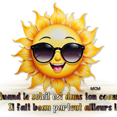 Créations avec le Soleil