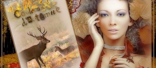  Couleurs d'automne .