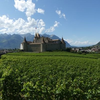LE  CHATEAU D'AIGLE  -  Suisse
