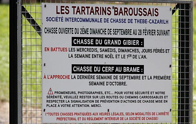 Chasseurs :  des Tartarins toujours égaux à eux-mêmes, c'est à dire puants...