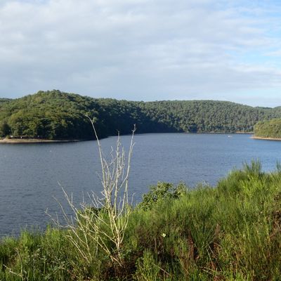 Le lac de Guerlégan en eau