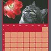Bonjour Mois de Mars ! 
