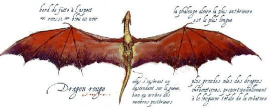 LE DRAGON ROUGE