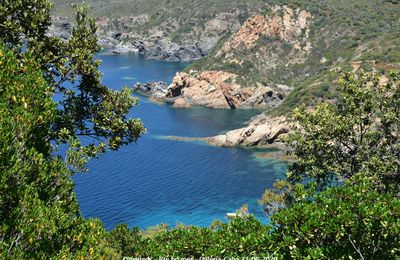 Route du bord de mer - Galéria - Calvi