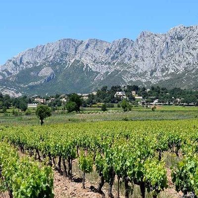 A  8km de chez moi au creux de la St Victoire se trouve le petit village de Puyloubier but de mes promenades avant à pied , maintenant ....... en voiture avec de fréquents arrêts, pour contempler et faire des photos et oui les années passent ..... 