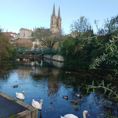 Promenade en automne au coeur de NIORT