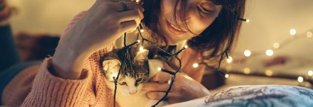 Art de Vivre 3:  Noël en dehors de la boîte