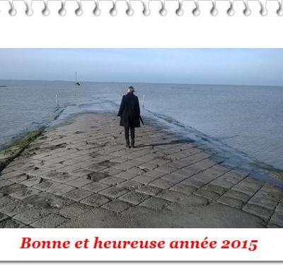 Bonne année 2015