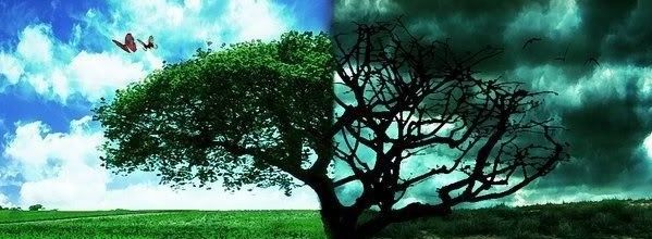 *Les habitants des tombes verront leurs futures destinations chaque matin et soir*