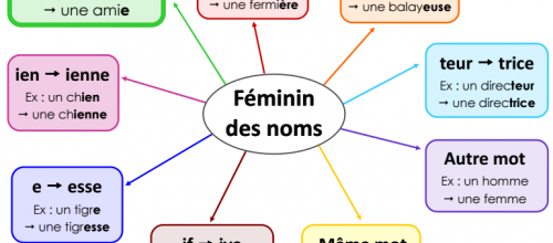 Le féminin des noms 