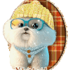 Méteo froid neige hiver