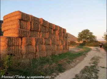 (J24) Monreal / Tiebas _14km_ 24 septembre 2013