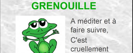La grenouille chauffée