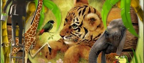  La jungle n°1