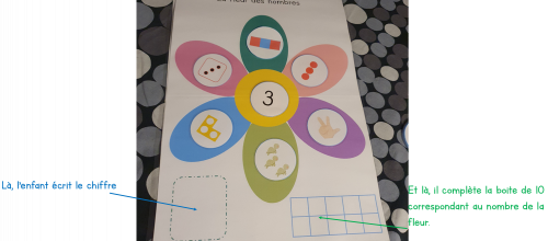 La fleur des nombres MHM maternelle