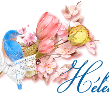 signatureanimee,oiseau bleu