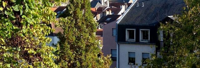 Metz / Le Jardin des Tanneurs est l'un de nos raccourcis d'automne...