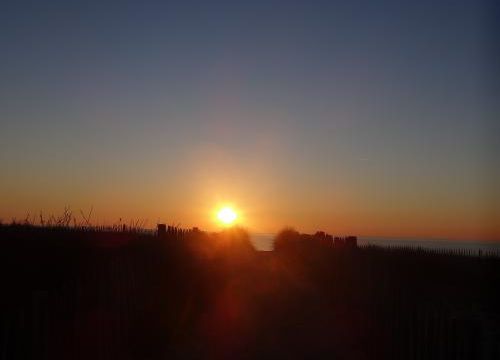 De l'or tombé du ciel