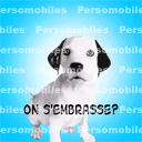 Mes Lys "orange" et "blanc"