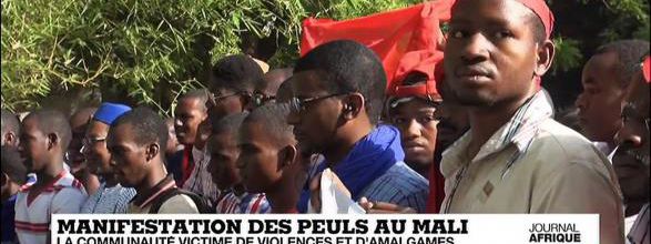 Peuls ou Peuhls, nomades et pasteurs d'Afrique