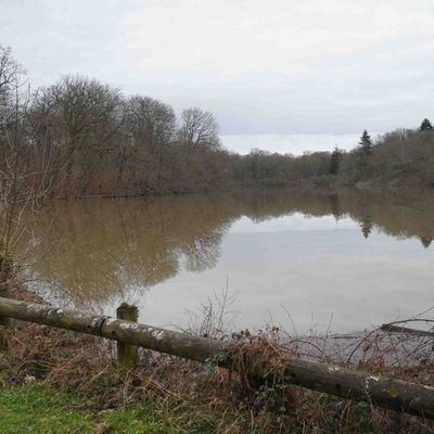 Les temps passent sur  l'étang
